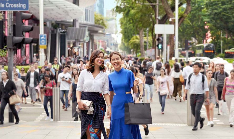 Singapore Shopping Discount Guide: Must-Have Sale Items and Shopping Malls