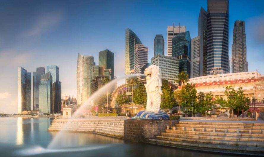 Essential Travel Tips for Singapore: How to Enjoy This Tropical City with Ease
