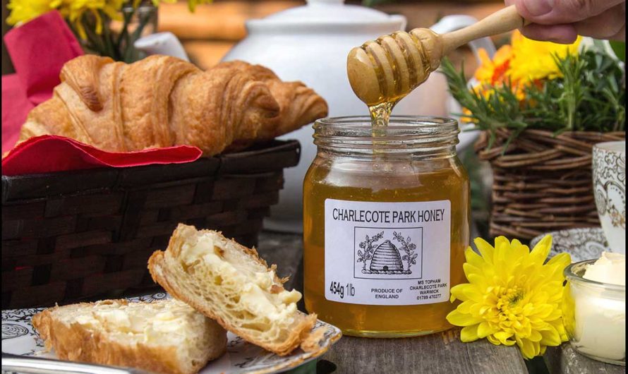 Practical and Tasteful: Must-Buy Traditional Food Gift Boxes in Prague’s Old Town